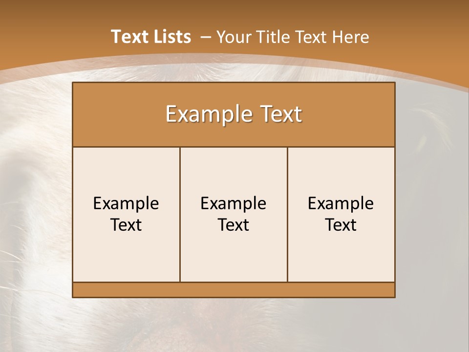 Smiling Dog, Gold Retriever Head Shot PowerPoint Template