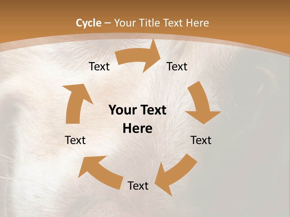 Smiling Dog, Gold Retriever Head Shot PowerPoint Template