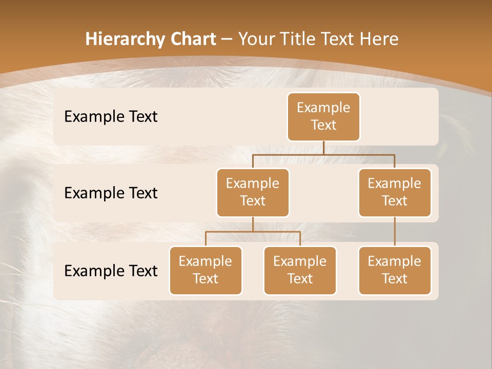Smiling Dog, Gold Retriever Head Shot PowerPoint Template