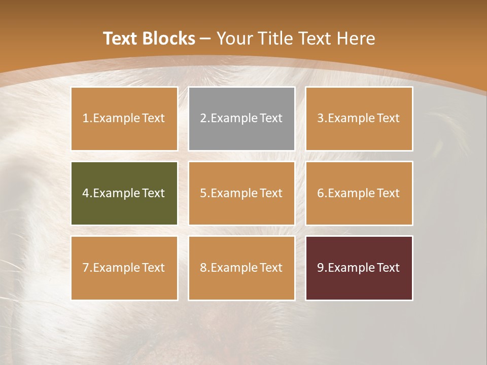 Smiling Dog, Gold Retriever Head Shot PowerPoint Template