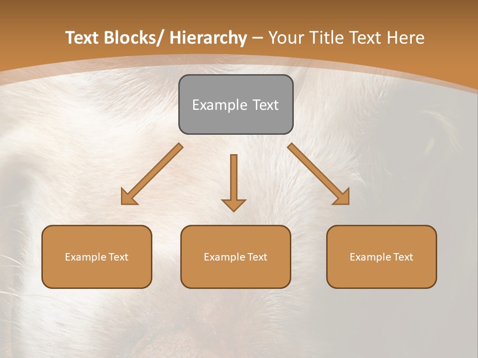 Smiling Dog, Gold Retriever Head Shot PowerPoint Template