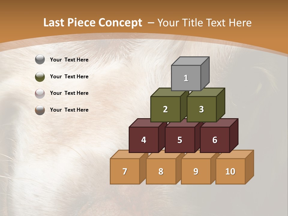 Smiling Dog, Gold Retriever Head Shot PowerPoint Template