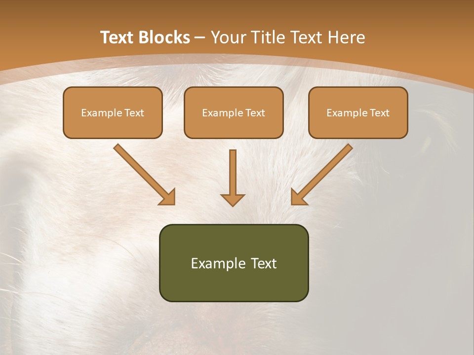 Smiling Dog, Gold Retriever Head Shot PowerPoint Template