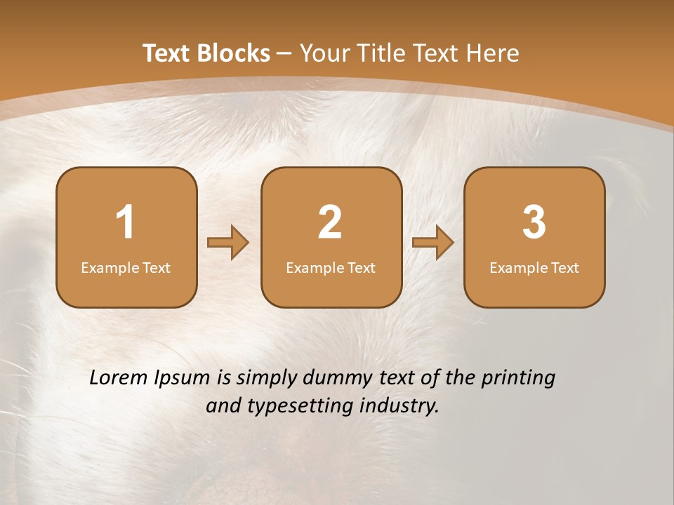 Smiling Dog, Gold Retriever Head Shot PowerPoint Template