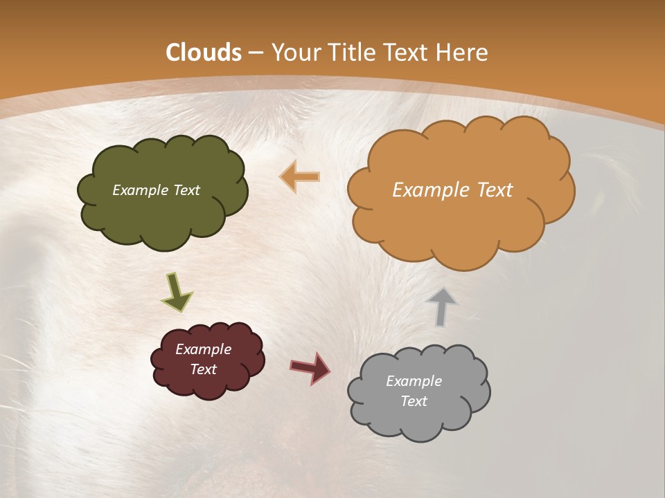 Smiling Dog, Gold Retriever Head Shot PowerPoint Template