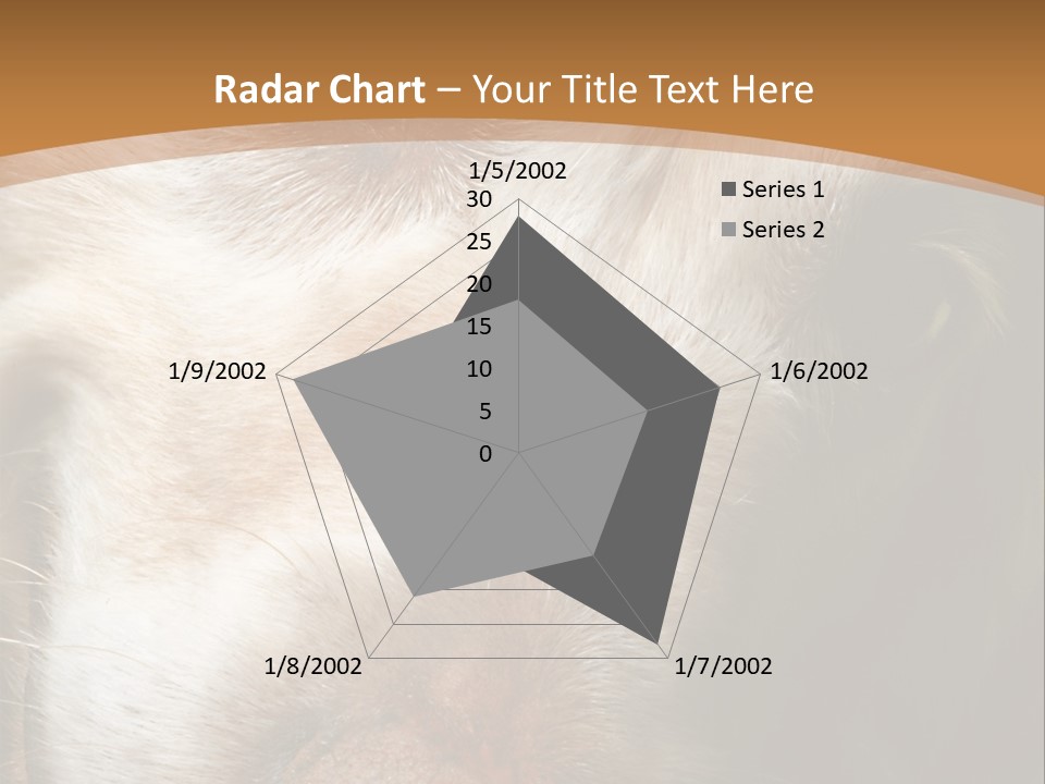 Smiling Dog, Gold Retriever Head Shot PowerPoint Template