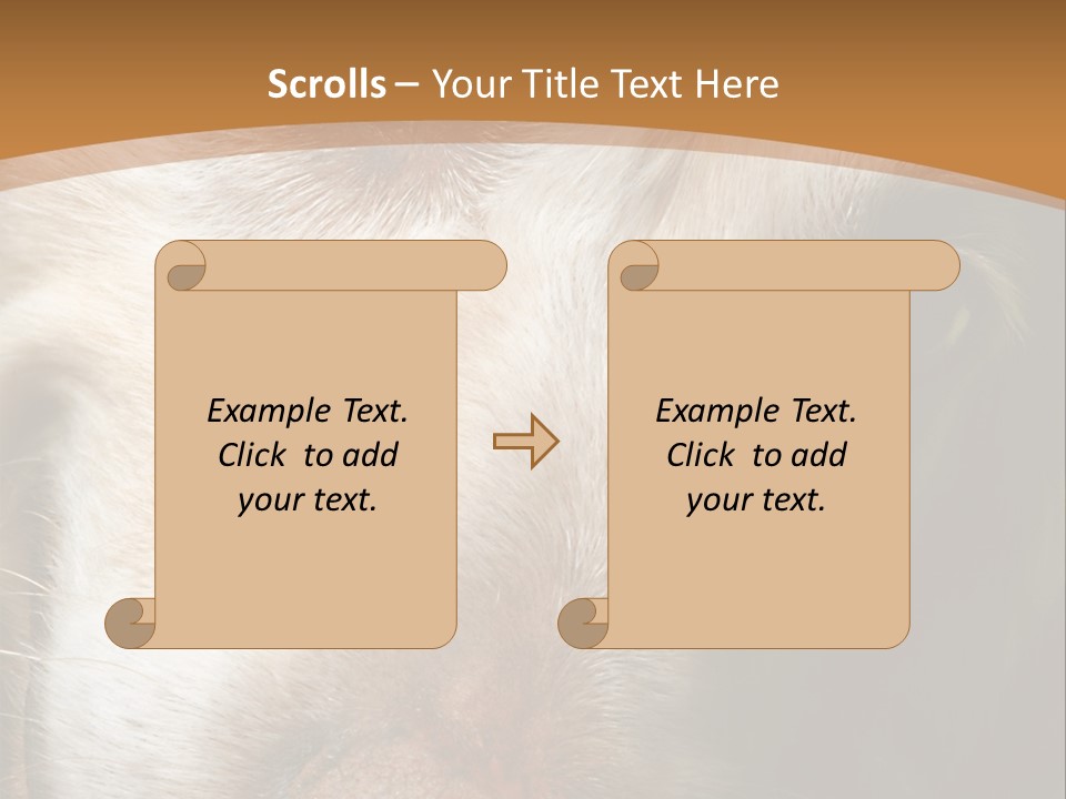 Smiling Dog, Gold Retriever Head Shot PowerPoint Template