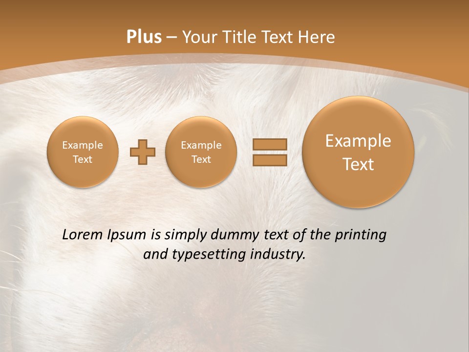 Smiling Dog, Gold Retriever Head Shot PowerPoint Template
