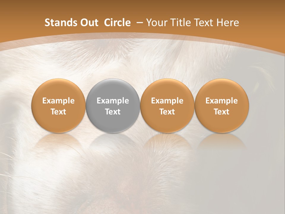 Smiling Dog, Gold Retriever Head Shot PowerPoint Template