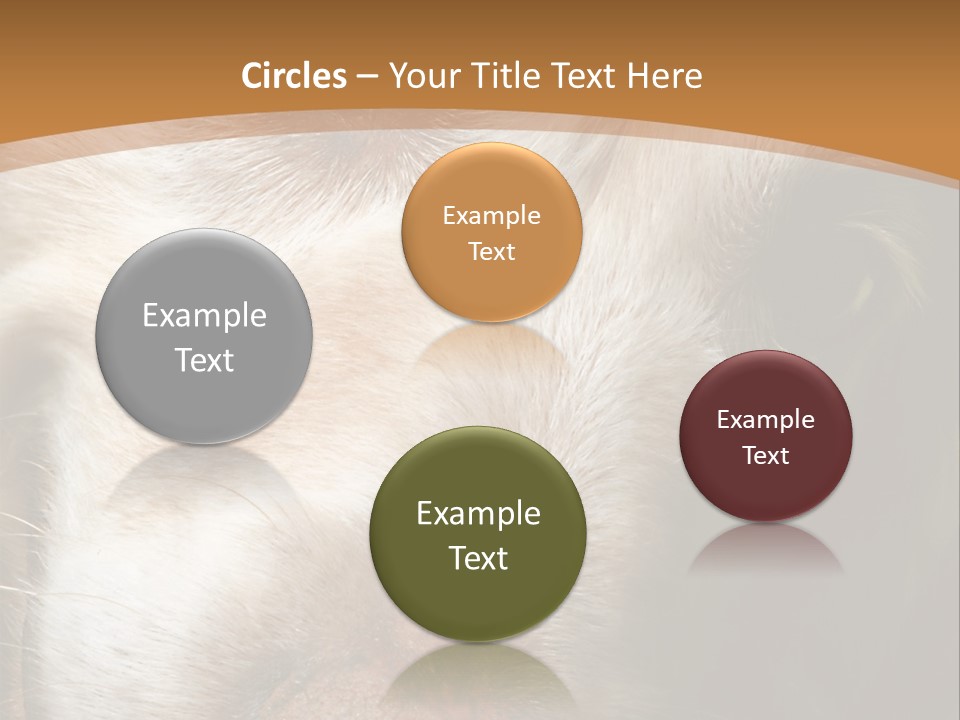 Smiling Dog, Gold Retriever Head Shot PowerPoint Template