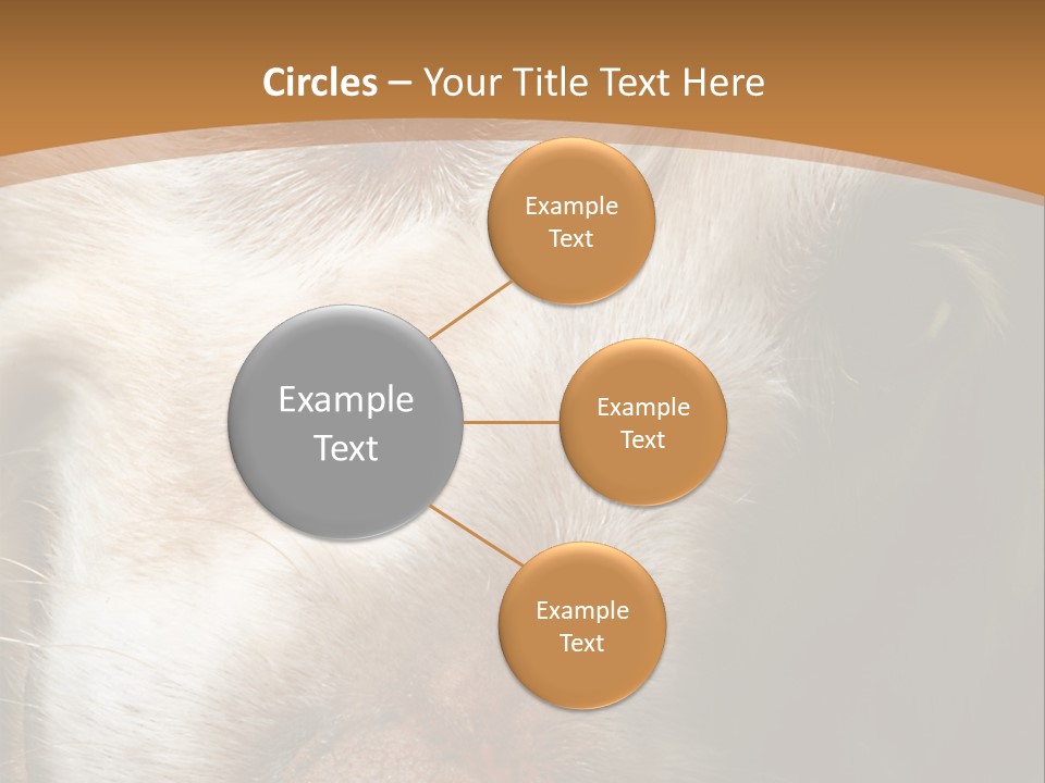 Smiling Dog, Gold Retriever Head Shot PowerPoint Template