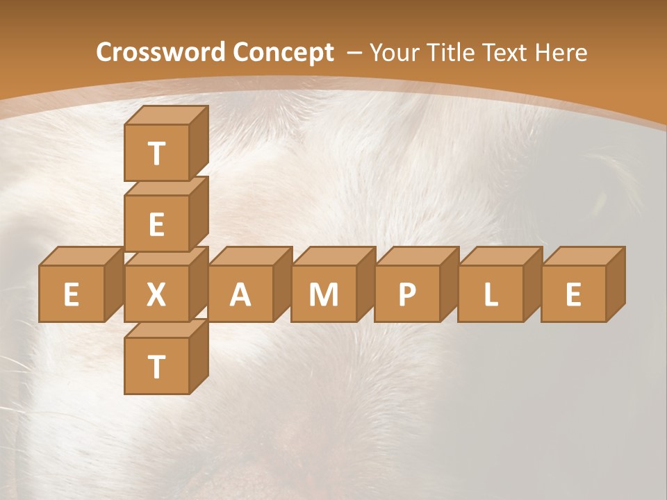 Smiling Dog, Gold Retriever Head Shot PowerPoint Template