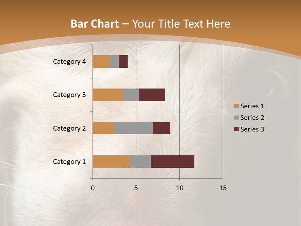 Smiling Dog, Gold Retriever Head Shot PowerPoint Template