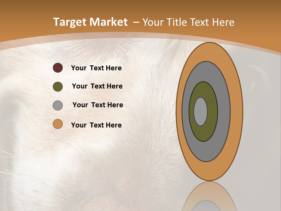 Smiling Dog, Gold Retriever Head Shot PowerPoint Template