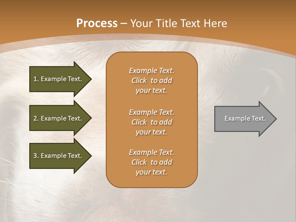 Smiling Dog, Gold Retriever Head Shot PowerPoint Template