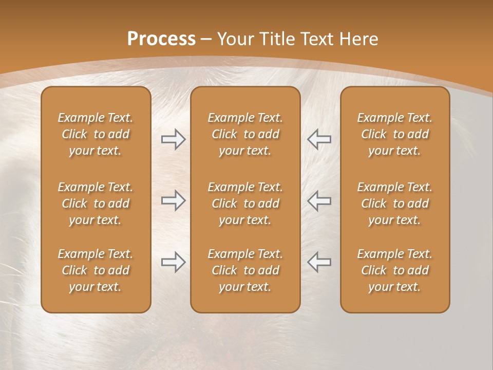 Smiling Dog, Gold Retriever Head Shot PowerPoint Template