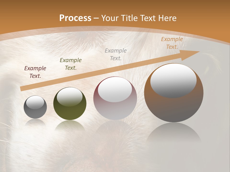 Smiling Dog, Gold Retriever Head Shot PowerPoint Template