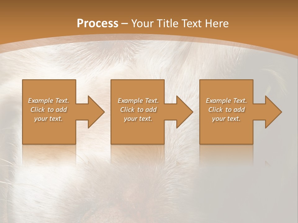 Smiling Dog, Gold Retriever Head Shot PowerPoint Template