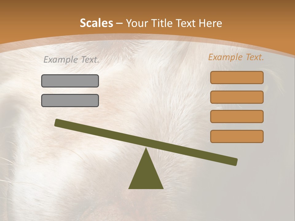 Smiling Dog, Gold Retriever Head Shot PowerPoint Template