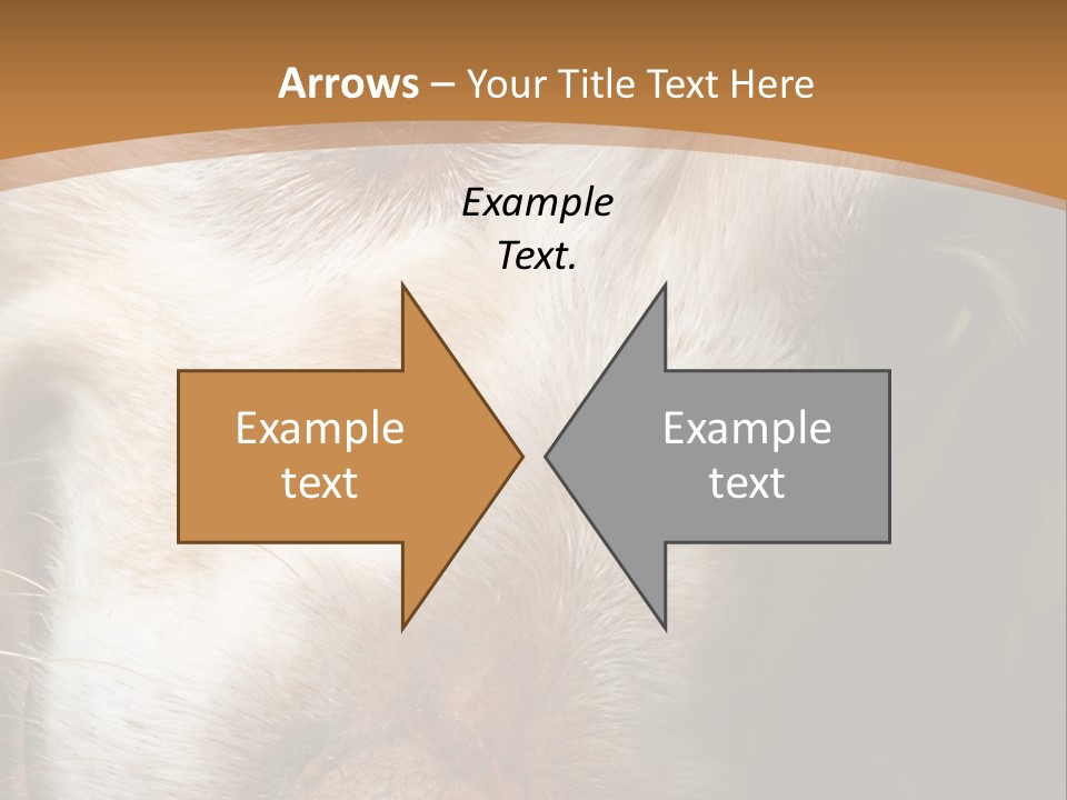 Smiling Dog, Gold Retriever Head Shot PowerPoint Template