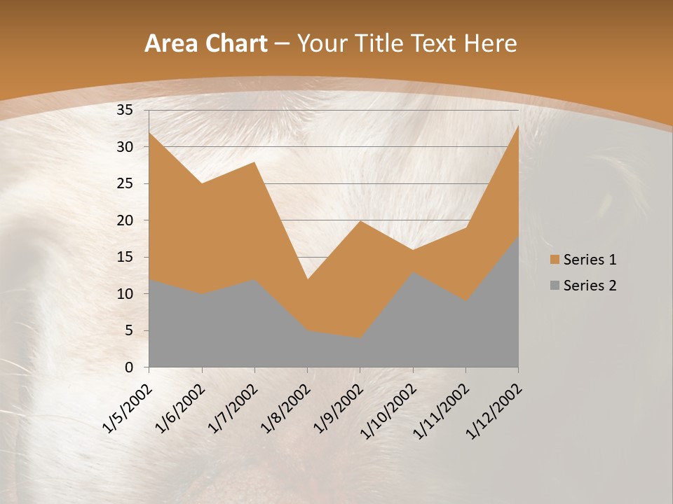 Smiling Dog, Gold Retriever Head Shot PowerPoint Template