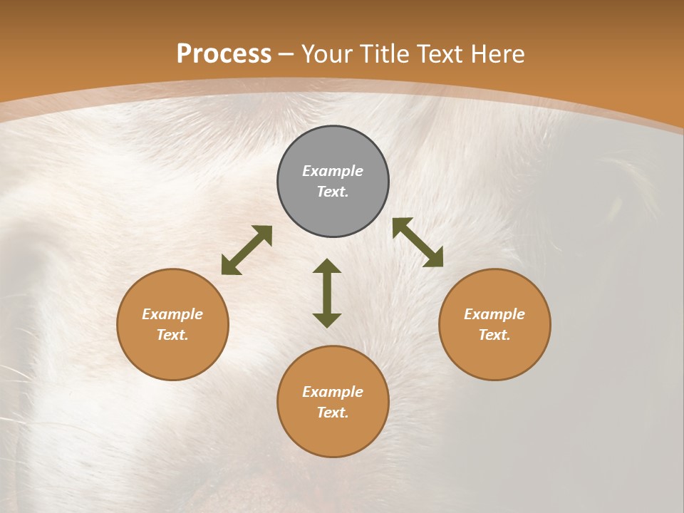 Smiling Dog, Gold Retriever Head Shot PowerPoint Template