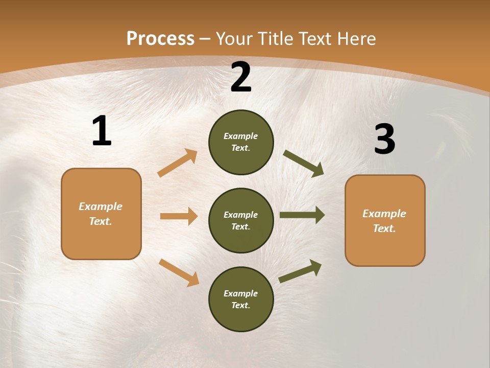 Smiling Dog, Gold Retriever Head Shot PowerPoint Template