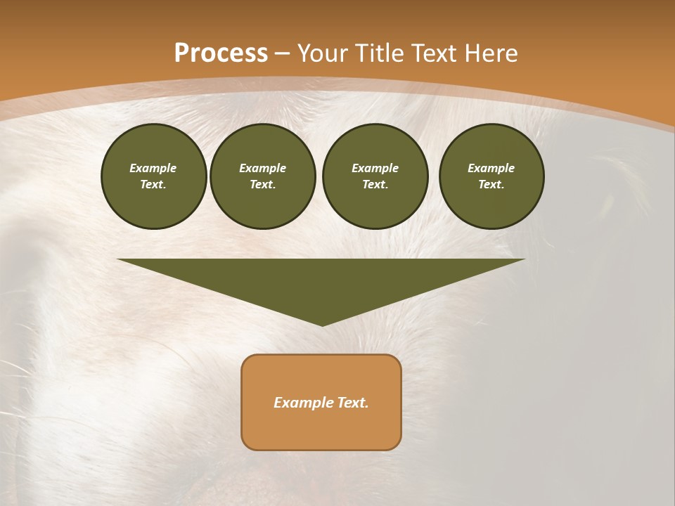 Smiling Dog, Gold Retriever Head Shot PowerPoint Template