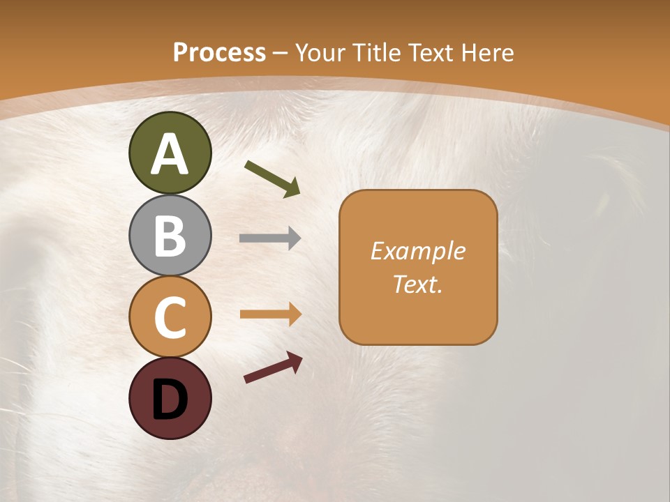 Smiling Dog, Gold Retriever Head Shot PowerPoint Template