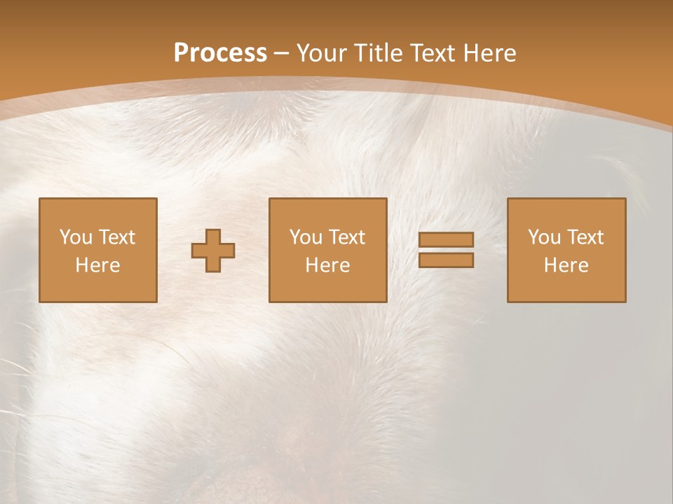 Smiling Dog, Gold Retriever Head Shot PowerPoint Template