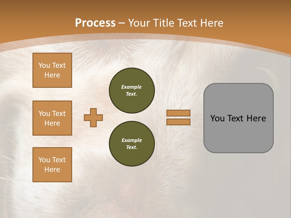 Smiling Dog, Gold Retriever Head Shot PowerPoint Template