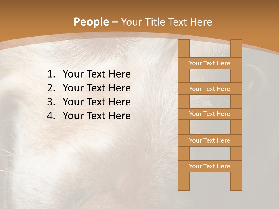 Smiling Dog, Gold Retriever Head Shot PowerPoint Template