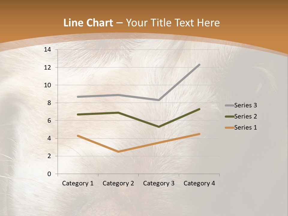 Smiling Dog, Gold Retriever Head Shot PowerPoint Template
