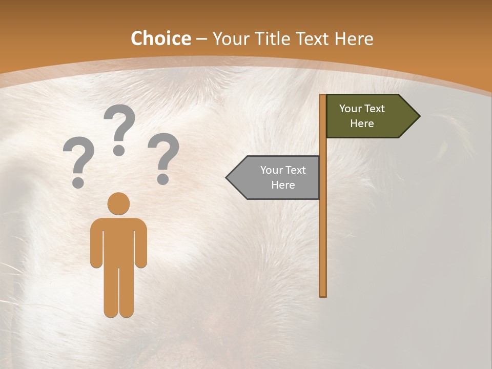 Smiling Dog, Gold Retriever Head Shot PowerPoint Template