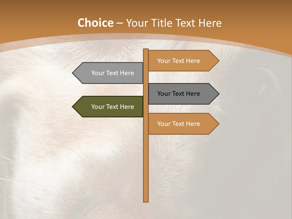 Smiling Dog, Gold Retriever Head Shot PowerPoint Template