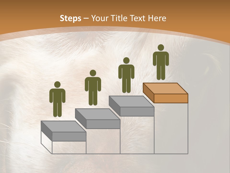 Smiling Dog, Gold Retriever Head Shot PowerPoint Template