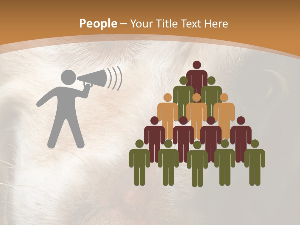 Smiling Dog, Gold Retriever Head Shot PowerPoint Template