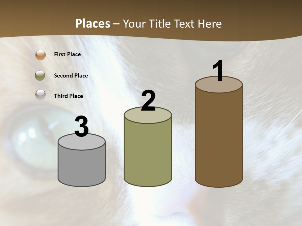 Meow PowerPoint Template