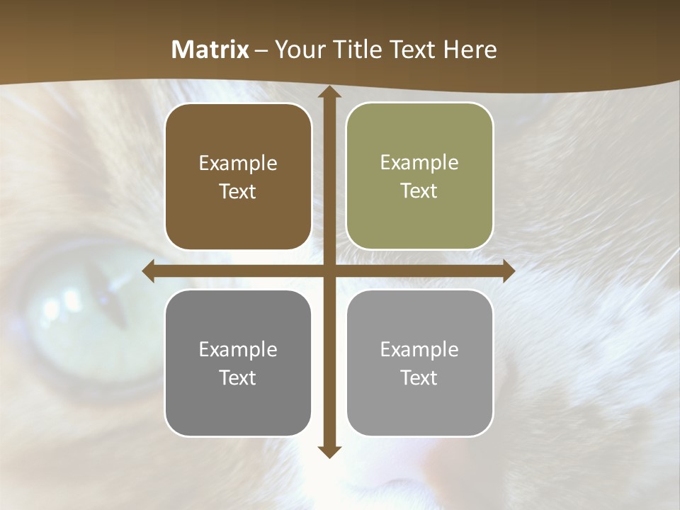 Meow PowerPoint Template