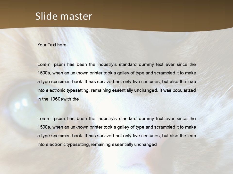 Meow PowerPoint Template