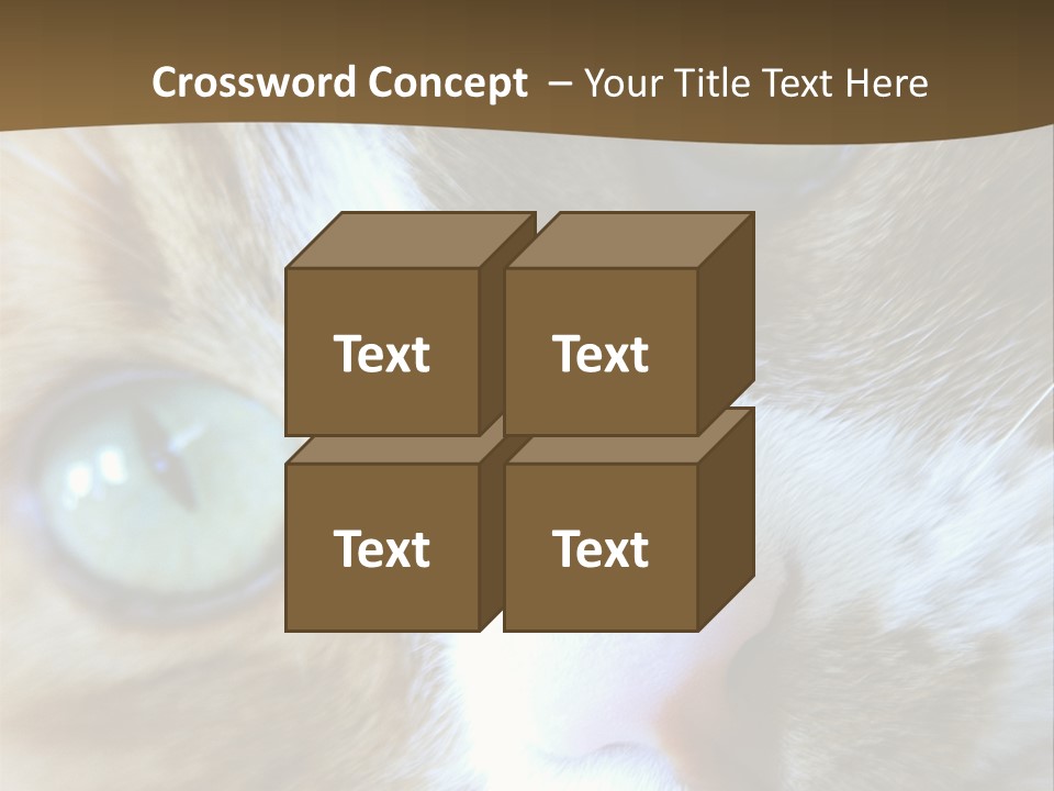 Meow PowerPoint Template