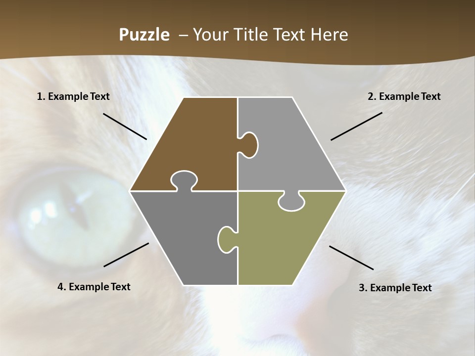 Meow PowerPoint Template