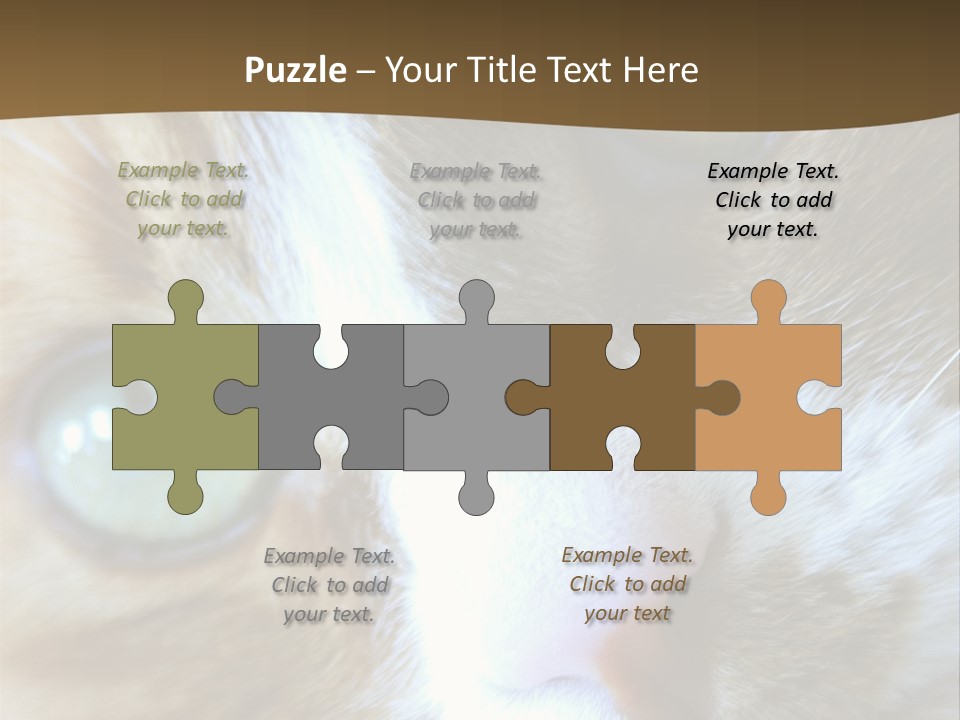 Meow PowerPoint Template