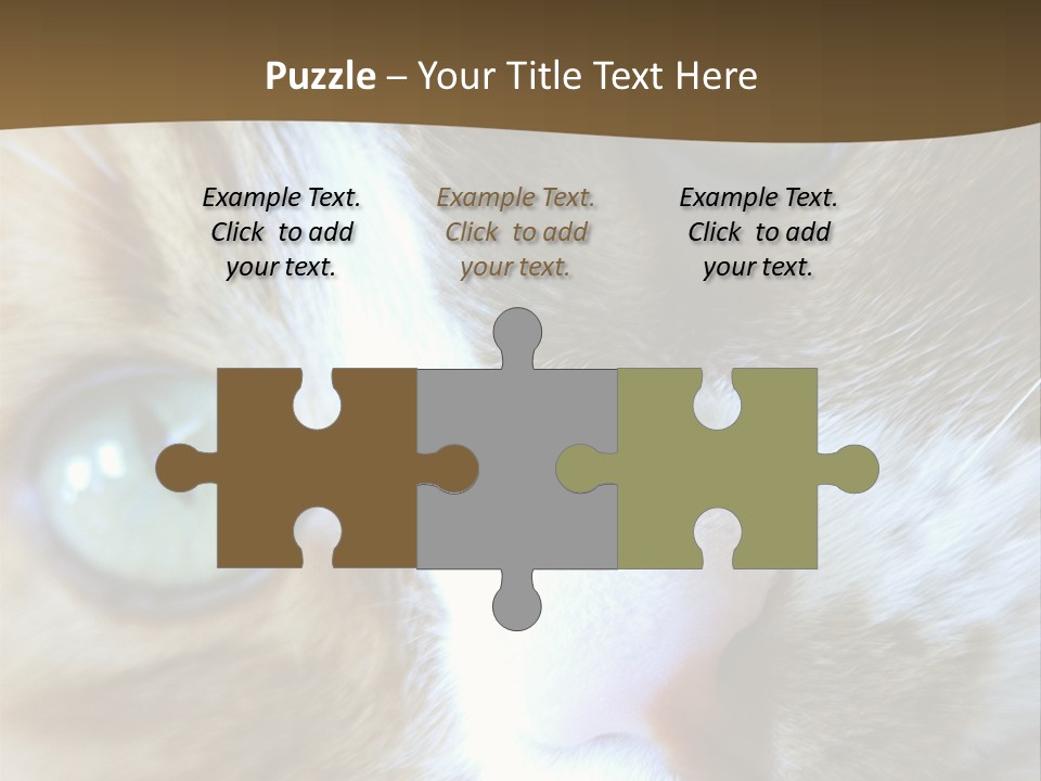 Meow PowerPoint Template