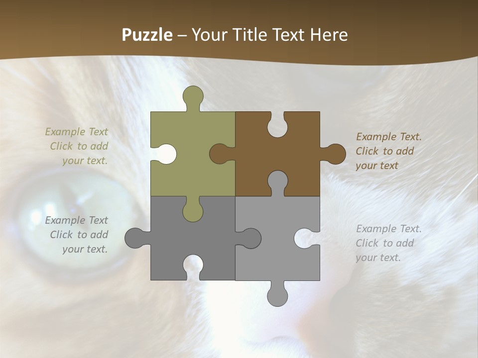 Meow PowerPoint Template