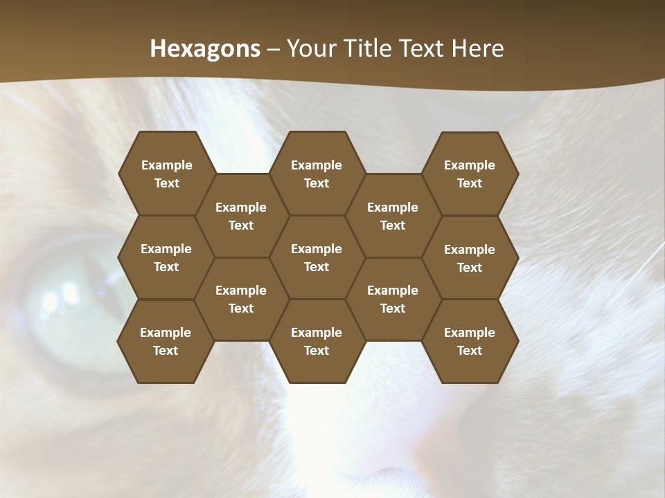 Meow PowerPoint Template