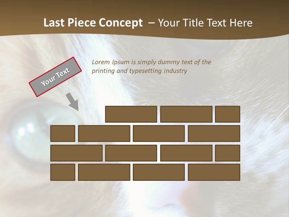 Meow PowerPoint Template