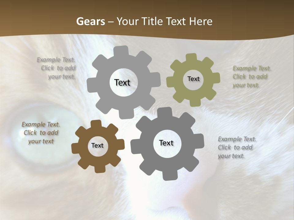 Meow PowerPoint Template