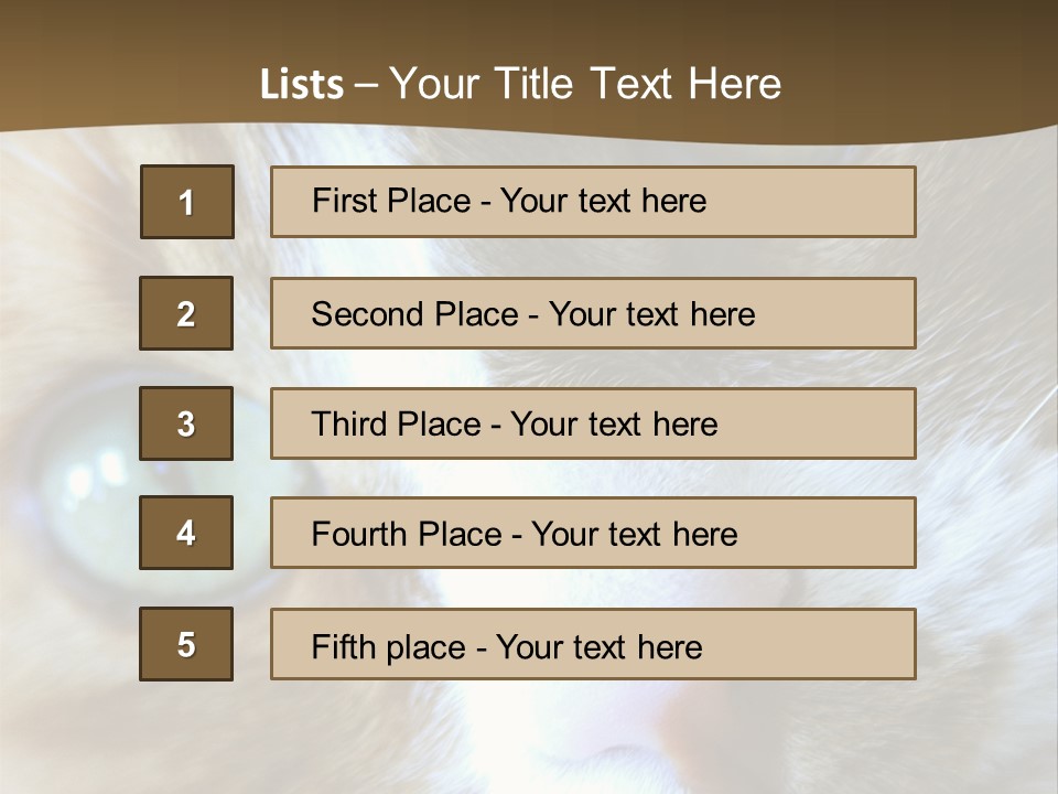 Meow PowerPoint Template