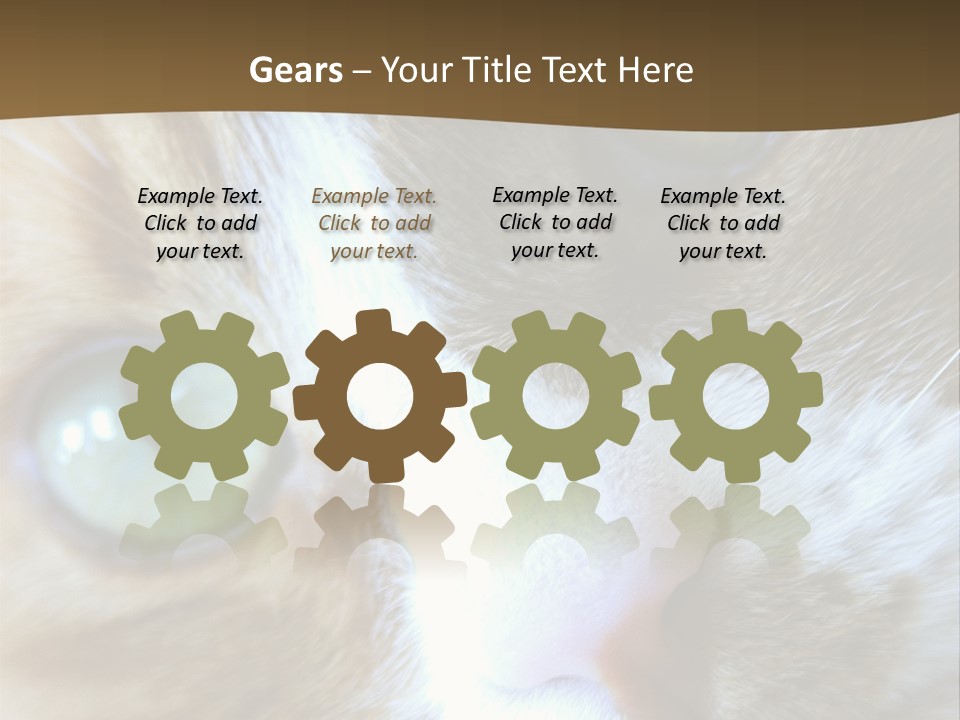 Meow PowerPoint Template